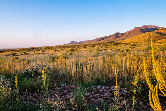 El Paso Green Desert